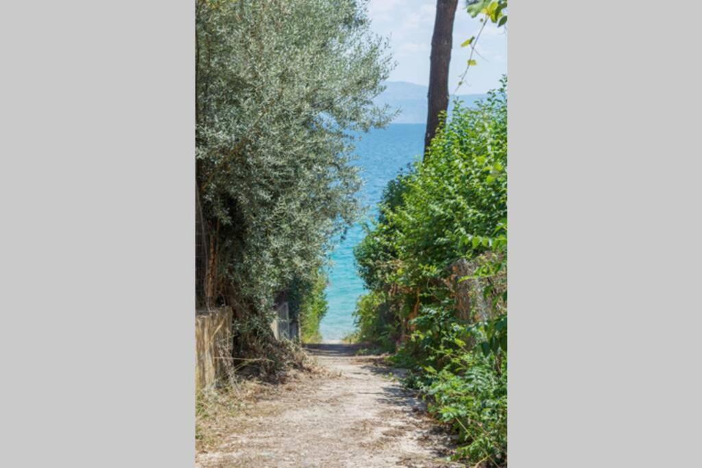 Villa Rocca نِكيانا المظهر الخارجي الصورة